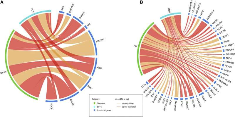 Study finds link between blood components and brain disorders