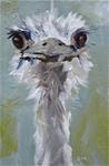 HAPPY NEW YEAR!!  I'M STARTING WITH A GRIN..."PEARLY" AN OSTRICH &COPY; SAUNDRA LANE GALLOWAY - Posted on Friday, January 2, 2015 by Saundra Lane Galloway