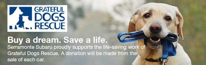GRATEFUL DOGS RESCUE. Buy a dream. Save a life. Serramonte Subaru supports the life-saving
work of Grateful Dogs Rescue. A Donation will be made from the sales of each car.