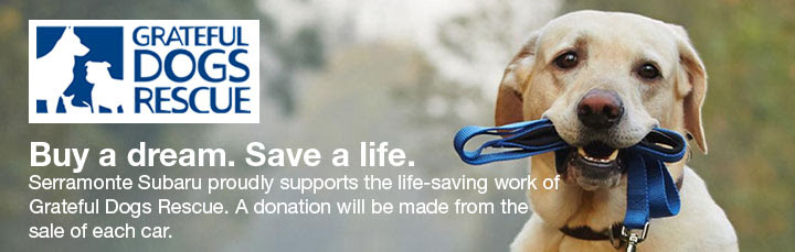 Serramonte Subaru supports the life-saving
work of Grateful dogs Rescue. A donation will be made from the sales of each car.