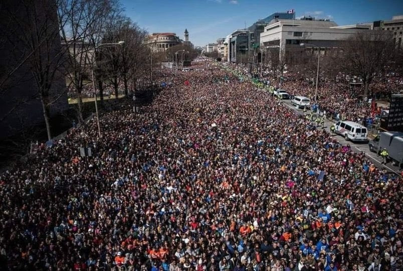 Tường thuật cuộc tuần hành 'Hãy cứu nước Mỹ' ở thủ đô Washington