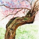 Toronto Art // Watercolor Giclee Print // Giclee Print of Original Watercolor Painting -Cherry Blossom @ High Park Toronto (Limited Edition)