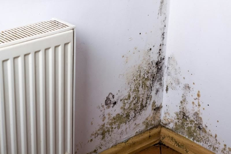 A white radiator next to a wall with mold growing on it Description automatically generated