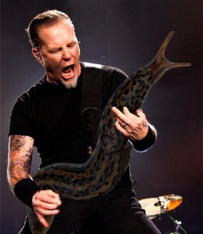 slugs James Hetfield of Metallica