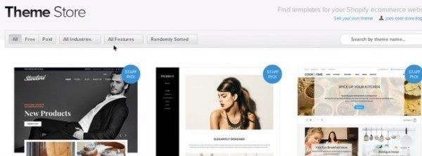 Customizing Your Shopify Online Store theme store