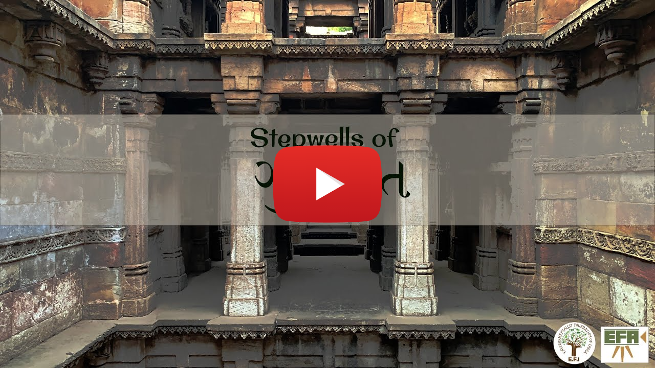 E.F.I ગુજરાત - Stepwells of અમદાવાદ