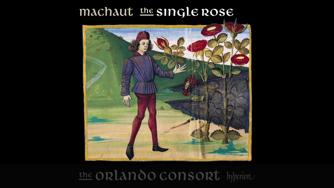 Guillaume de Machaut: The single rose - Hyperion: CDA68277 - CD or download  | Presto Music