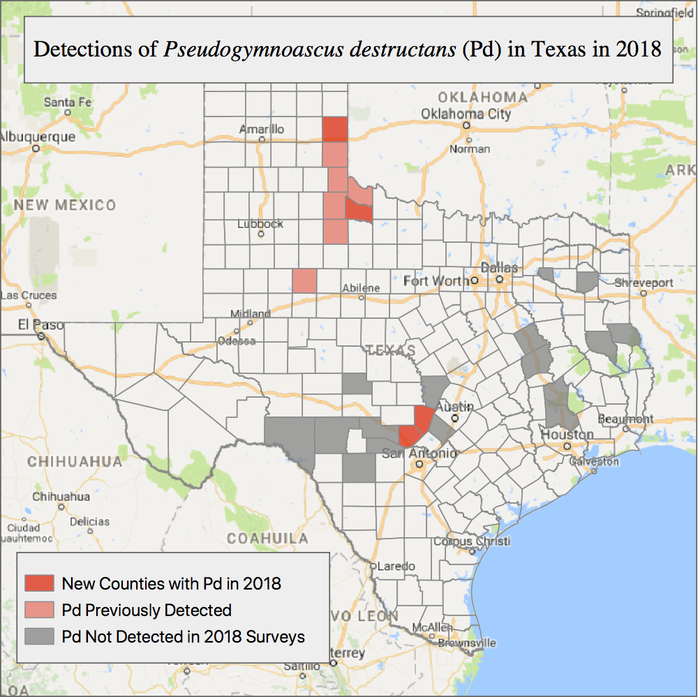 Mac HD:Users:jonahwyevans:Box Sync:TPWD:Species:Mammals:Chiroptera:WNS:Texas Detections:2018 Detections:2018 TX PD Detections.png