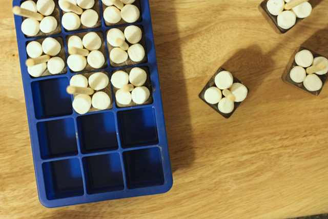 icecube tray