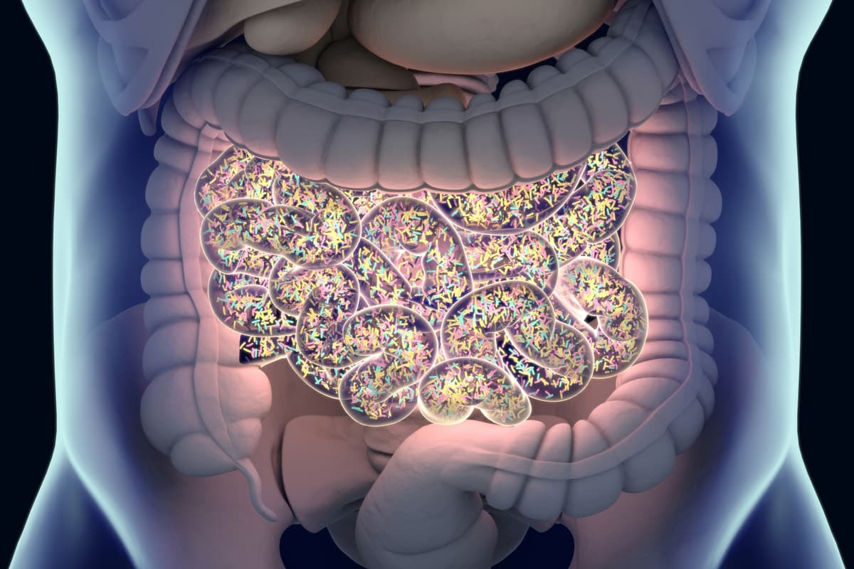 A study has shown that the levels of antibiotic resistance genes found in an individual's gut are associated with population-wide consumption of antibiotics