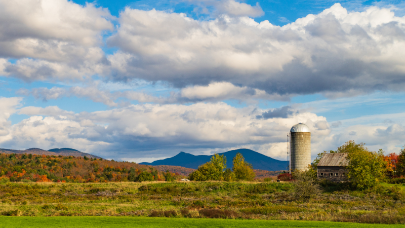 Vermont Pay for Performance Program