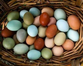 Easter_eggs_of_all_colors
