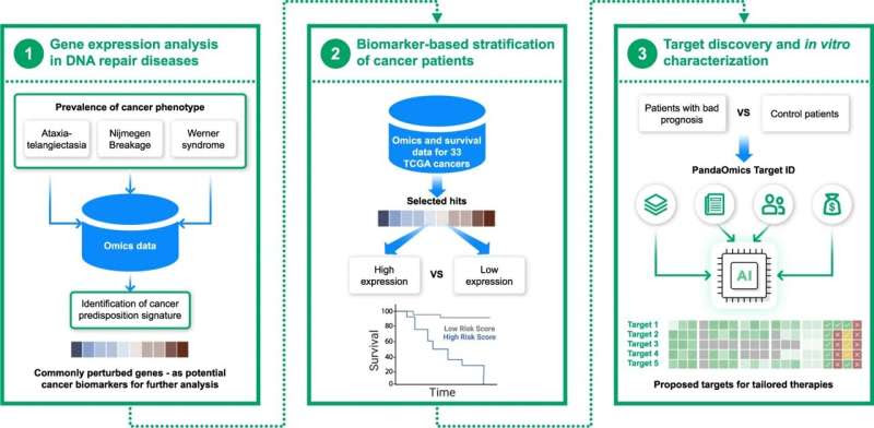 Finding molecular secrets hidden in premature aging diseases and cancer using AI