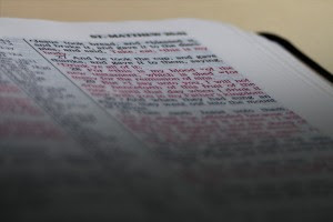 The Case for the Reliability of the New Testament (Free Bible Insert)