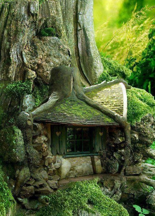 Сказочный домик на дереве.
