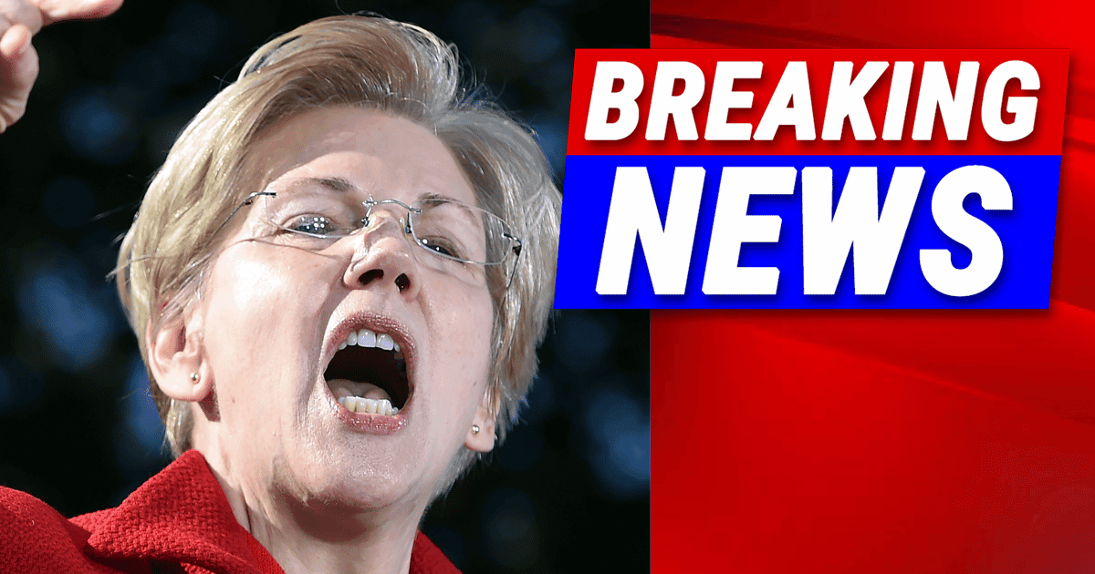 Federal Court Blindsides Liz Warren - They Just Ruled Her Pet Project is Unconstitutional