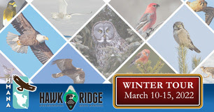 HMANA Hawk Ridge Winter Tour