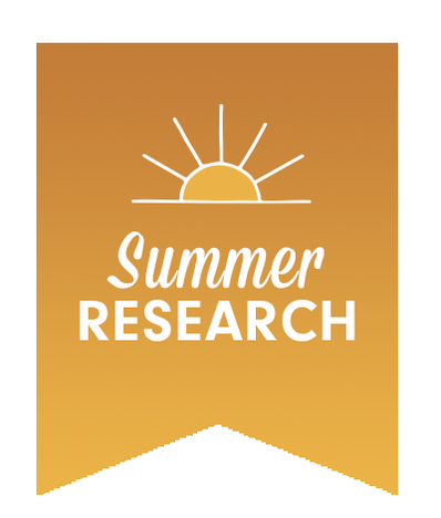 summer research logo