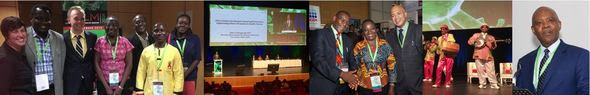 ASLM images version #2