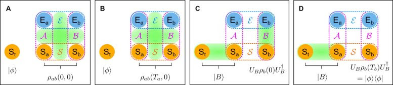 Stages of Noisy Quantum Teleportation