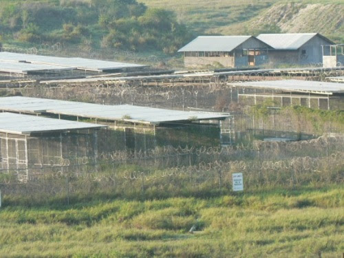 Campo Rayos X, una especie de campo de concentración, con jaulas a la interperie, donde llegaron los primeros detenidos de Guantánamo.