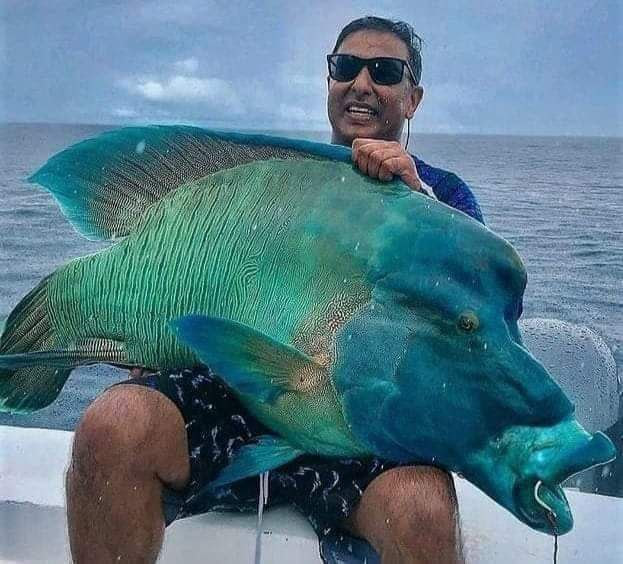 Fish-I-caught