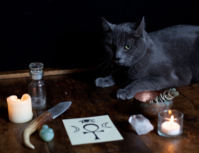 Bosco Cat and Magical Items