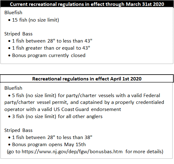 Striped Bass Regulations