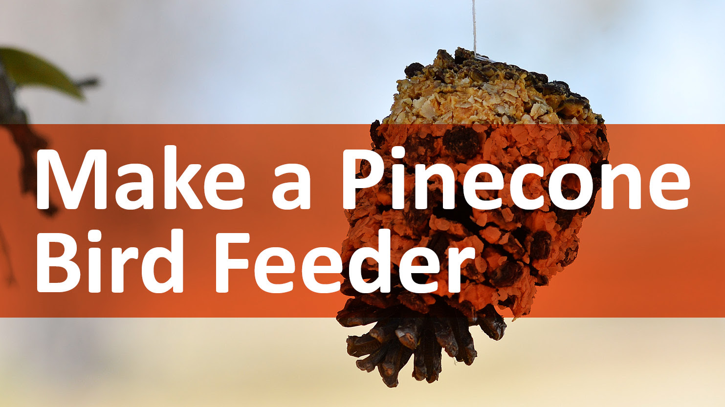  A pinecone hanging in the background with a transparent rust banner that has white text that reads Make a Pinecone Bird Feeder