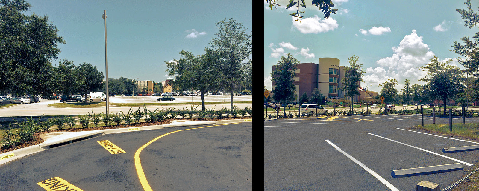 University of South Florida (USF) Lot 37T Parking Improvements DRMP, Inc.