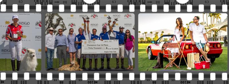 Congratulations to Evergreen & STG for their wins