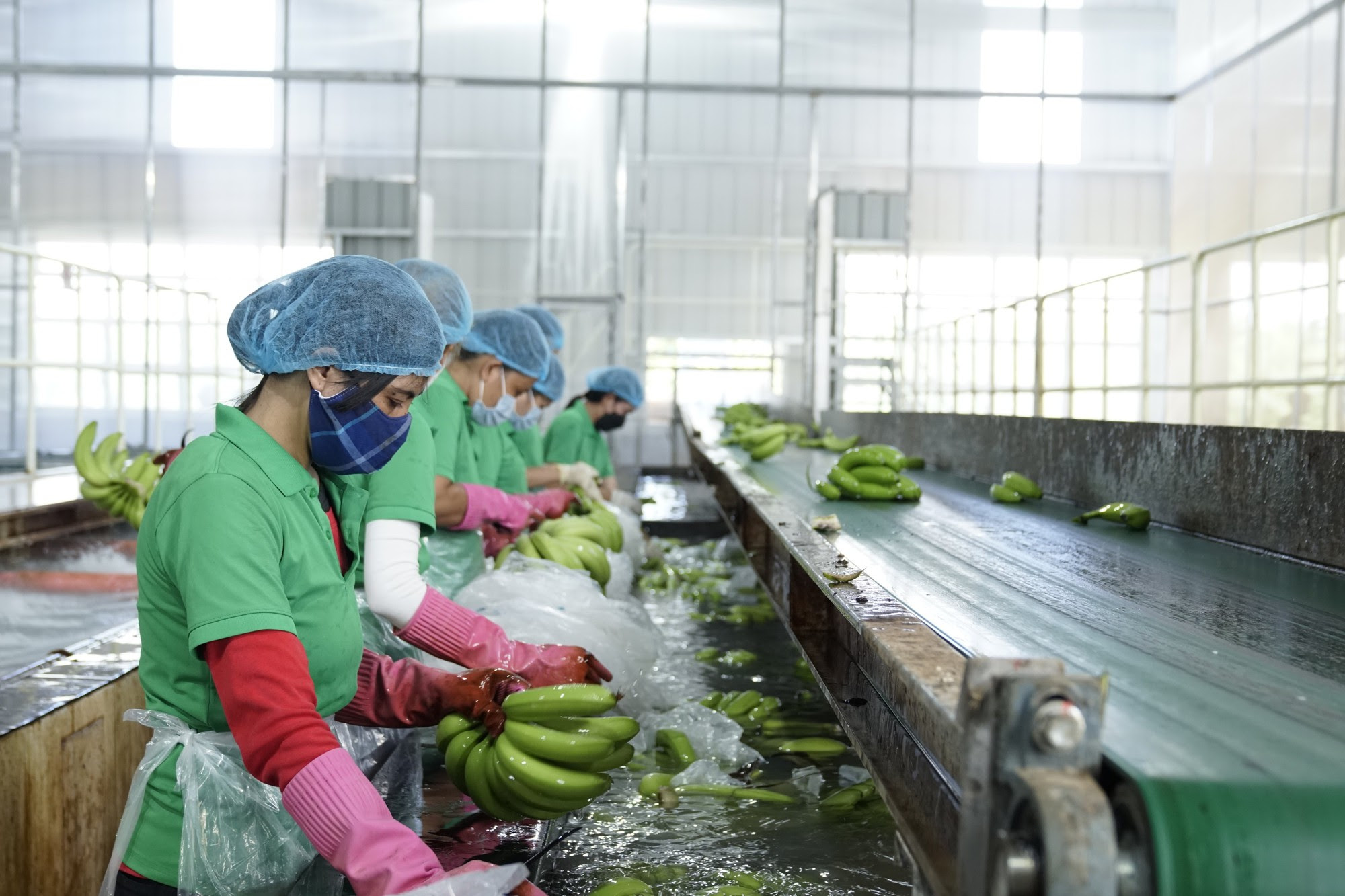 Đại hội đồng cổ đông thường niên 2023 HNG: Thực hiện sản xuất nông nghiệp quy mô lớn, dự kiến thu 1.282 tỷ đồng - Ảnh 3.
