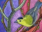 Wilson's Warbler - Posted on Saturday, March 14, 2015 by Ande Hall