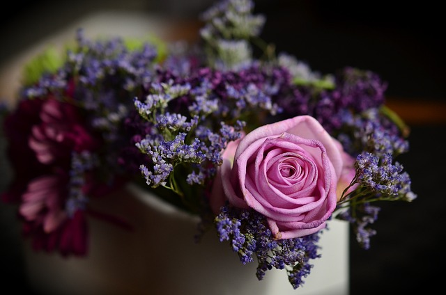 flowers, nature, rose