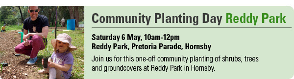 Community Planting