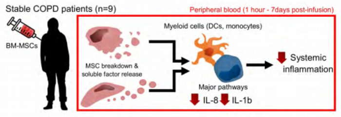 Graphical Abstract