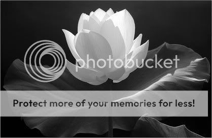 http://i86.photobucket.com/albums/k88/suonglam_2006/ChiaBuon/Lotus_Flower.jpg