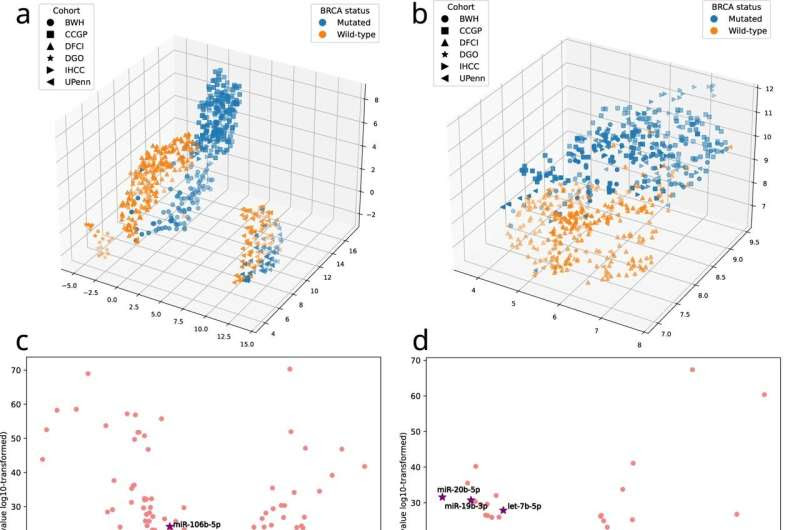 New study suggests simple test could detect breast and ovarian cancer risk without genetic sequencing