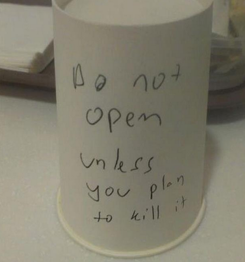 upside-down cup prank
