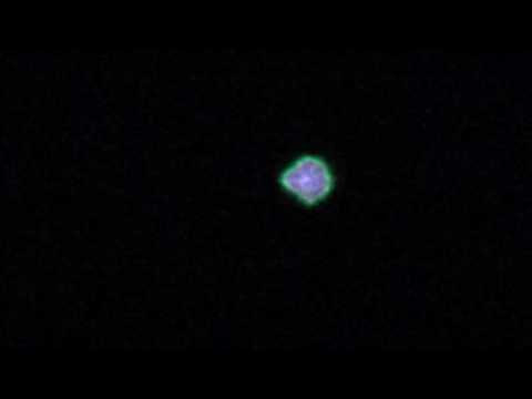 UFO News ~ Cigar UFO Over Denver and MORE Hqdefault