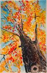 Maple Autumn - Posted on Sunday, December 14, 2014 by Jeff Henry