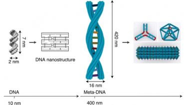DNA Origami Nanostructure