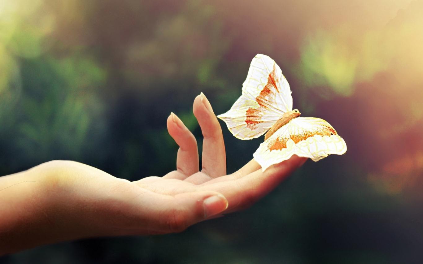 Không muốn bị rơi vào hoàn cảnh “càng hy vọng lắm, càng thất vọng nhiều” thì phải thuộc lòng 6 điều dưới đây: Nên nhớ đừng trông mong, phụ thuộc bất cứ điều gì vào người khác! - Ảnh 2. Không muốn bị rơi vào hoàn cảnh “càng hy vọng lắm, càng thất vọng nhiều” thì phải thuộc lòng 6 điều dưới đây: Nên nhớ đừng trông mong, phụ thuộc bất cứ điều gì vào người khác! - Ảnh 2.