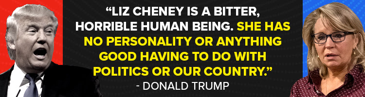Donald Trump: 'Liz Cheney is a bitter, horrible human being. She has no personality or anything good having to do with politics or our country.'