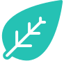 Leaf Icon