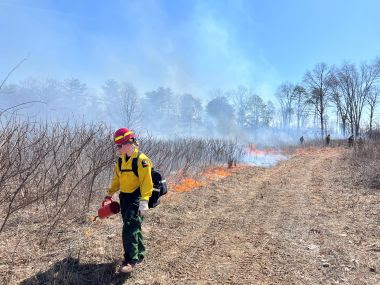 Ranger walks along grassy path and facilitates with prescribed fire