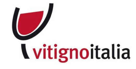 Logo VitignoItalia