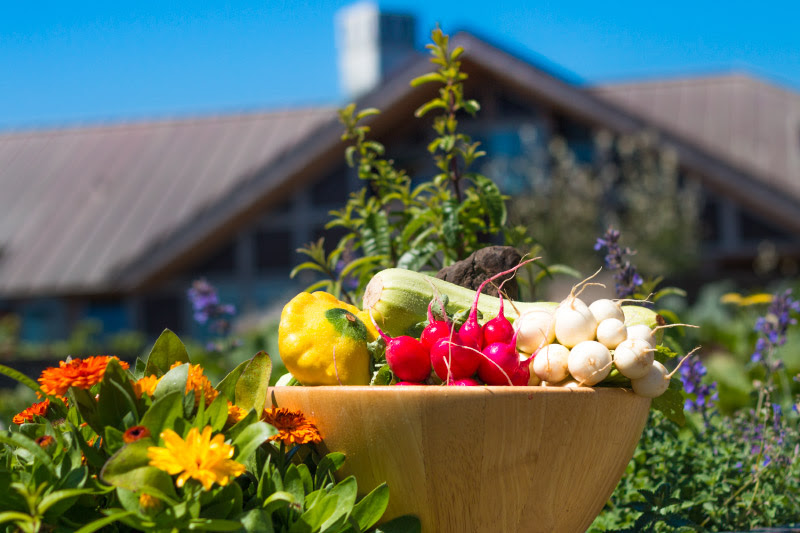 fresh garden produce graces the menu at The Inn at Newport Ranch north of Fort Bragg on the beautiful north coast in Mendocino County, California