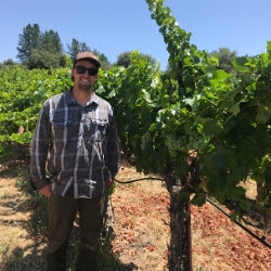 Grenache -2 Grenache -2