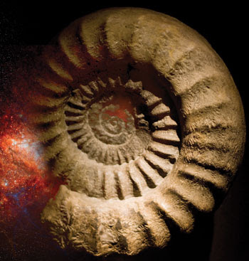 fossil